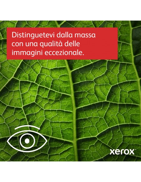 xerox-b305-mono-multifunction-16.jpg