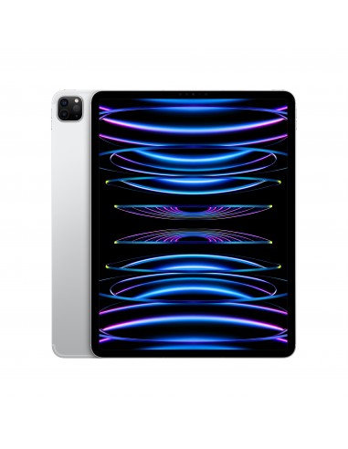 ipad-pro-12-wi-fi-cellular-128gb-argento-1.jpg