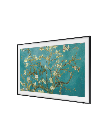 tv-55-poll-frame-serie-2023-15.jpg