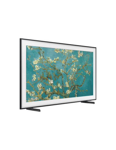 tv-55-poll-frame-serie-2023-16.jpg