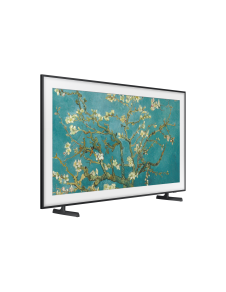 tv-55-poll-frame-serie-2023-17.jpg