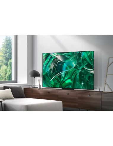 tv-55-poll-4k-serie-s95c-oled-23-4.jpg