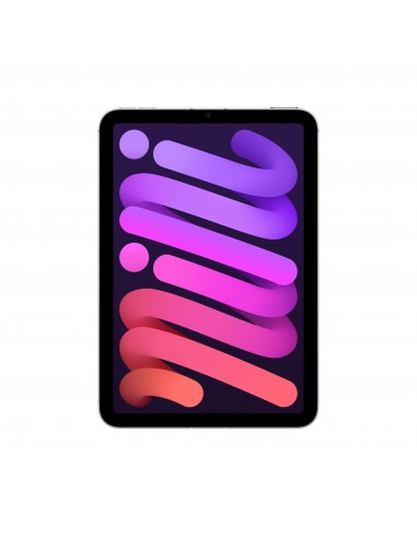 ipad-mini-wi-fi-cellular-512gb-purple-1.jpg