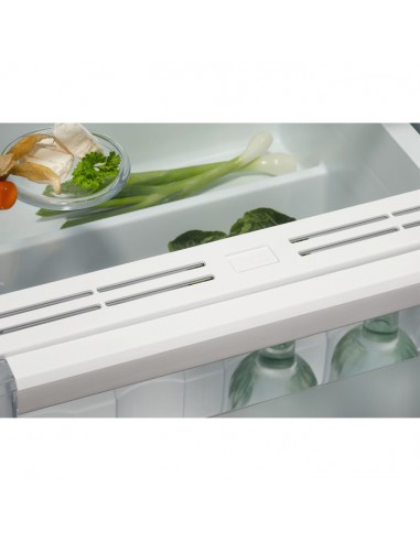 electrolux-frigo-erd6de18s4-eitaly-h-p-l-1772x546x549-310-lt-tuttofrigostatico-vent-2.jpg