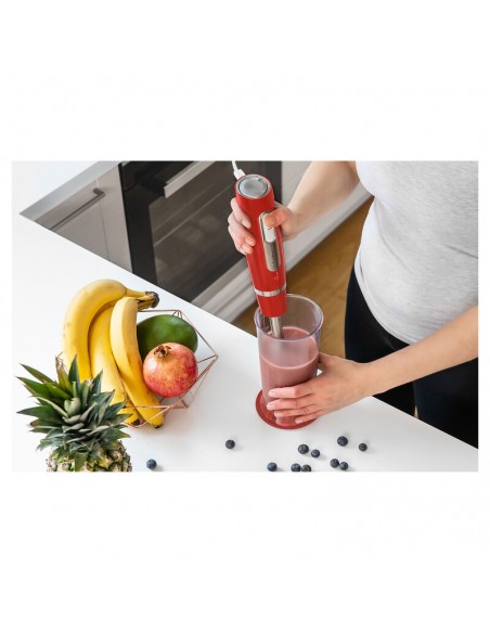 mixer-immersione-rosso-18.jpg