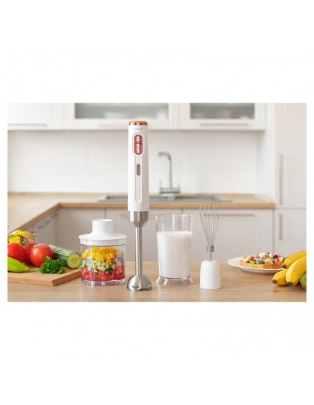 frullatore-a-immersione-batteria-wh-15.jpg