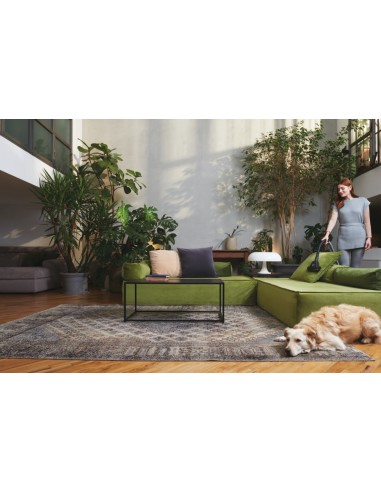 hoover-traino-he120pet-011-5.jpg