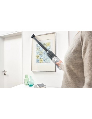 bosch-scopa-ric-bch3p2301-6.jpg