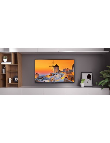 televisore-l43m5-5asp-10.jpg