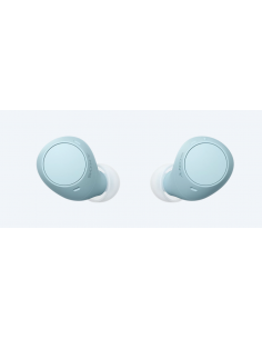 cuffie-in-ear-true-wrls-blu-1.jpg 2