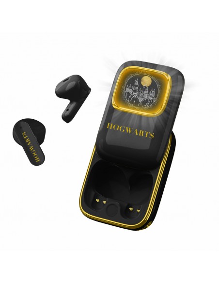 harry-potter-hogwarts-slide-tws-ear-1.jpg