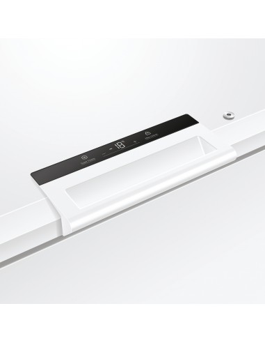 congorizz-508lt-ced-bianco-10.jpg