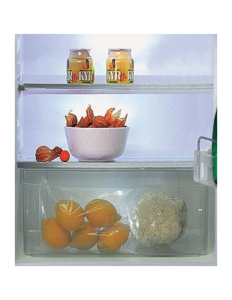 frigo-inc-2p-218lt-h144-traino-3.jpg