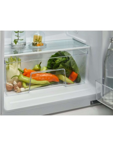 frigo-inc-2p-222lt-h144-freezer-low-frost-cold-sense-led-traino-5.jpg