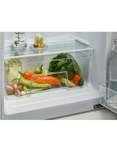 frigo-inc-2p-222lt-h144-freezer-low-frost-cold-sense-led-traino-5.jpg
