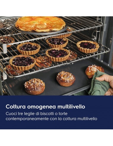 forno-electrolux-fr65g-classe-a-ad-incasso-elettrico-multifunzione-nero-ghisa-2.jpg