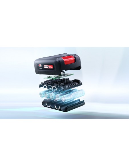 bosch-scopa-ric-bcs82ka14-4.jpg