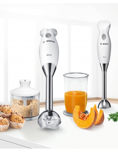mixer-immersione-msm6b500-2.jpg