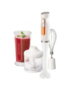mixer-immersione-600w-bianco-1.jpg 2
