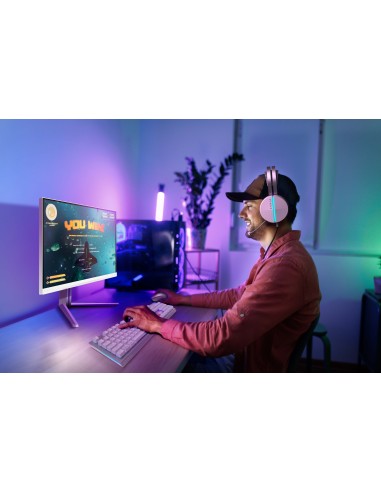 27-2560x1440-240hz-reg-alt-gaming-6.jpg