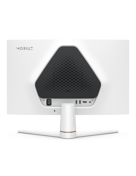 ex251-5.jpg