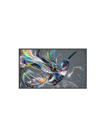 monitor-43-q-line-18-7-4k-1.jpg
