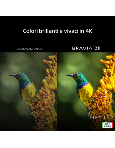 50-bravia-2-ii-direct-led-1.jpg 2