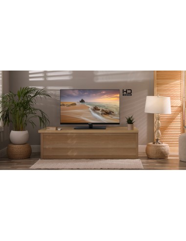 panasonic-ts-24n30aez-led-hd-t2-sat-hd-ready-dvb-t2-s2-hevc-h265-4.jpg