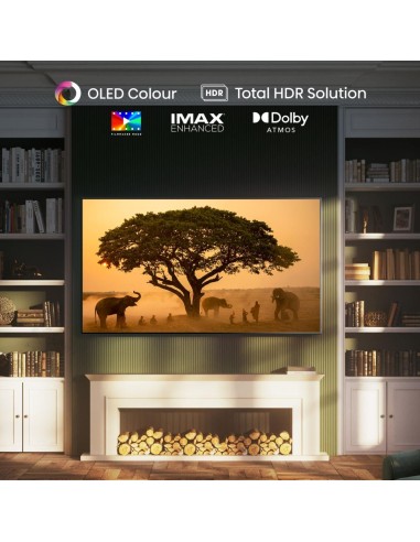 hisense-smart-tv-oled-4k-65-9.jpg
