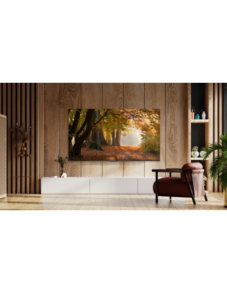 tcl-lcd-55-p655-uhd-google-tv-hdr-t2-s-55-dvb-t2-s-2-hdr-uhdgoogle-tv-21.jpg