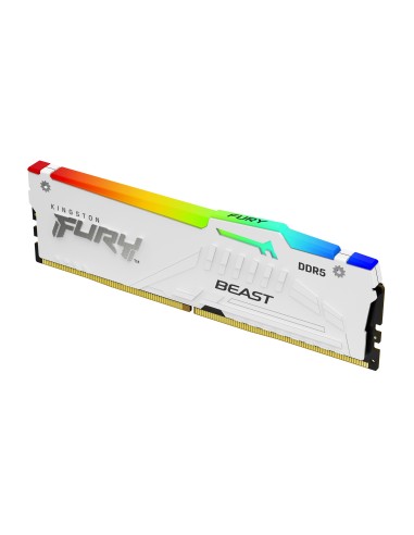 16-6000-ddr5-f-beast-white-rgb-expo-1.jpg