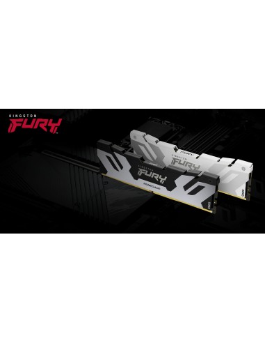 24gb-8800-ddr5-fury-renegade-silver-11.jpg