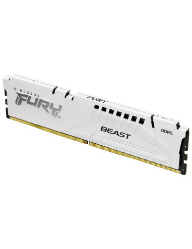 32g-6000-ddr5-fury-beast-white-expo-1.jpg