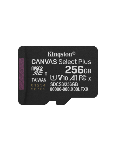 kingston-256gb-gen3-ad-3.jpg