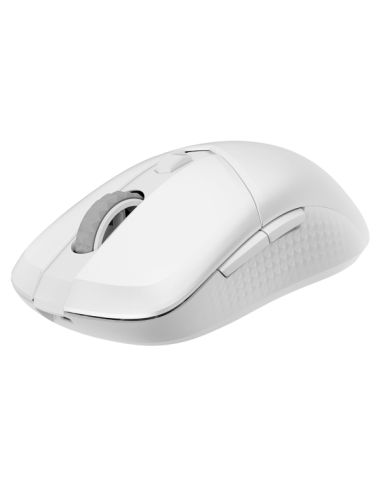 versa-300-w-white-3.jpg
