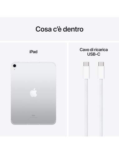 ipad-wf-cl-256gb-silver-8.jpg